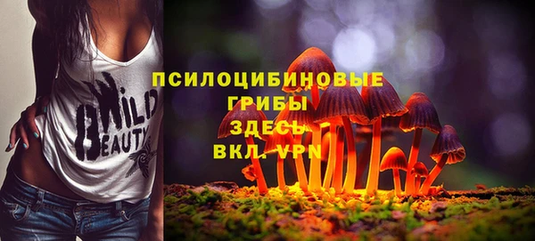 амф Беломорск