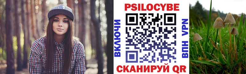 omg tor  Дятьково  Галлюциногенные грибы прущие грибы  магазин продажи наркотиков 